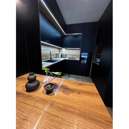 1BR Modern condo near the University