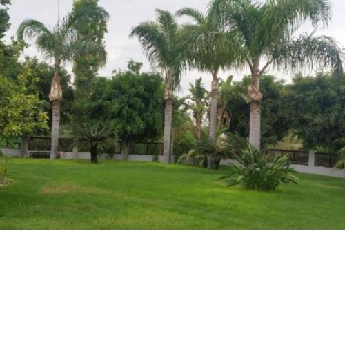 3-Bedroom House Near the Beach