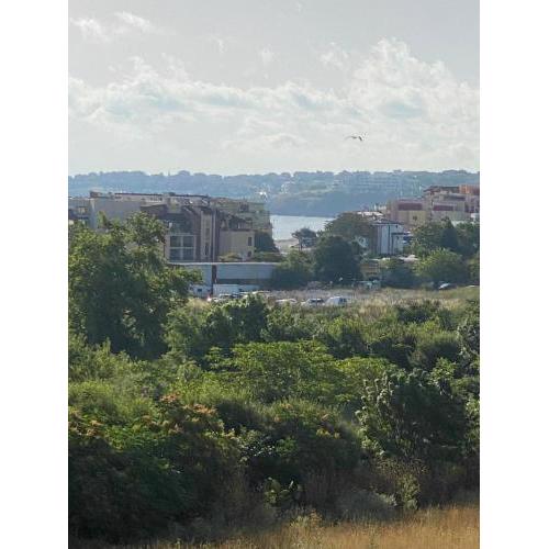 Апартамент Сони 3