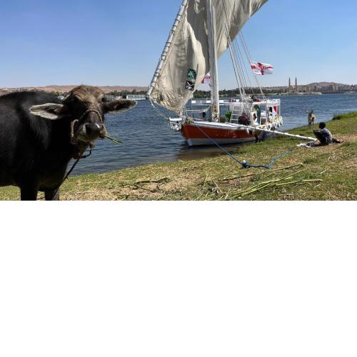 3or 2 or 1night with imaginative felucca