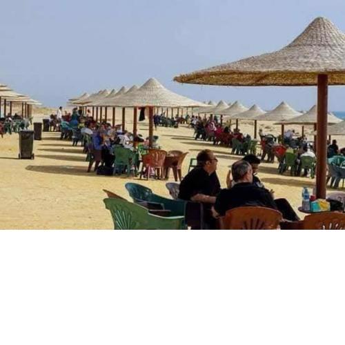 شاليه غرفتين وريسبشن راس سدر جنوب سيناء