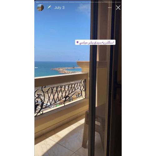 شارع خالد ابن الوليد بجوار الهلتون و بنك اسكندريه