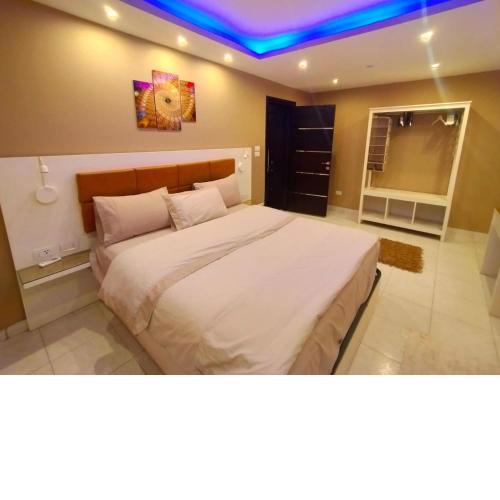 شقة فخمة في المهندسين