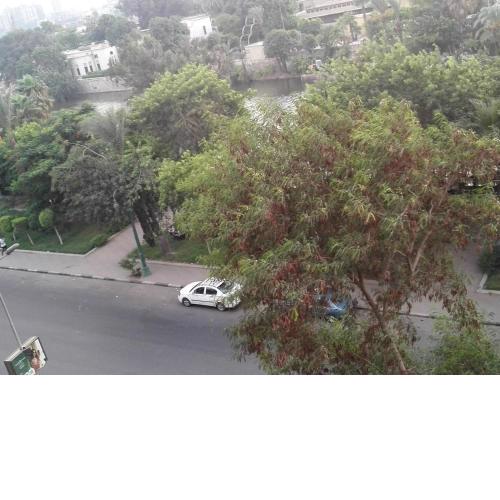 شقة عالنيل مباشرتا