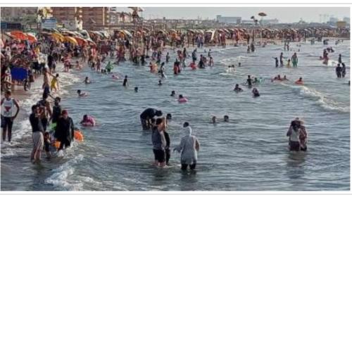 العربية العالمية للسياحة و الرحلات شقق فندقية فاخرة برأس البر