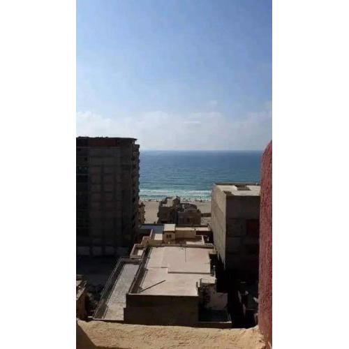 العجمى شارع الروضه الخضراء