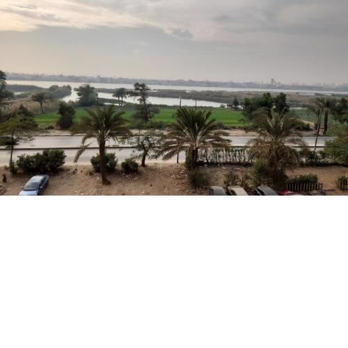 القاهره ركن حلوان شارع الشهيد