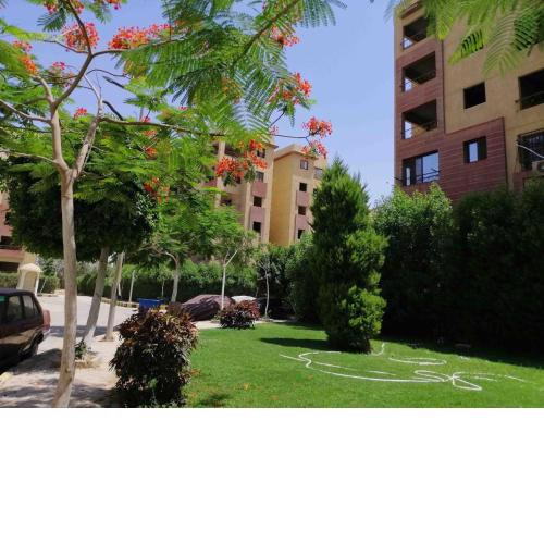 الحج سيد البدري
