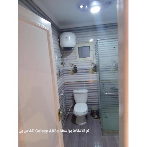 الاسكندريه