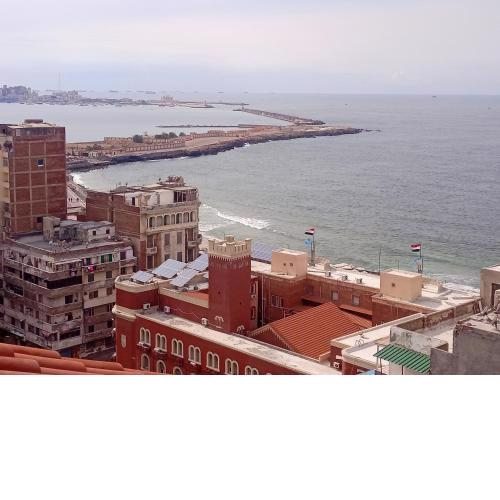 الاسكندريه