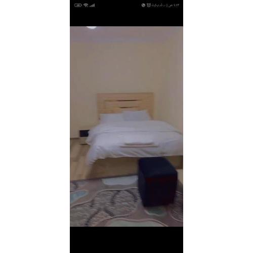 الشيخ زايد