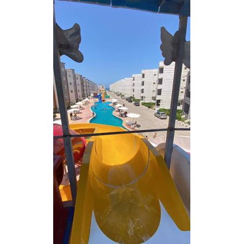 تاهيتي الجراولة