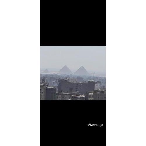 جيزه
