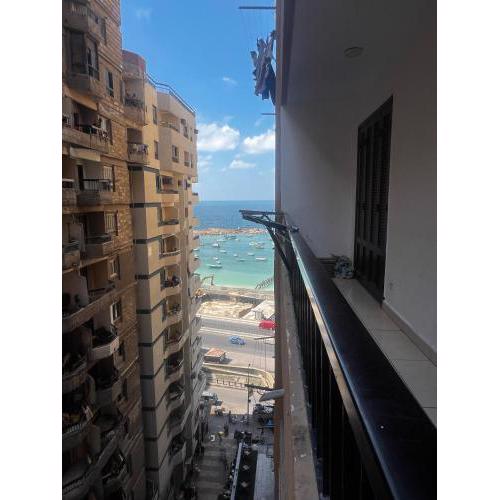 خالد بن الوليد شقة بالأسكندرية