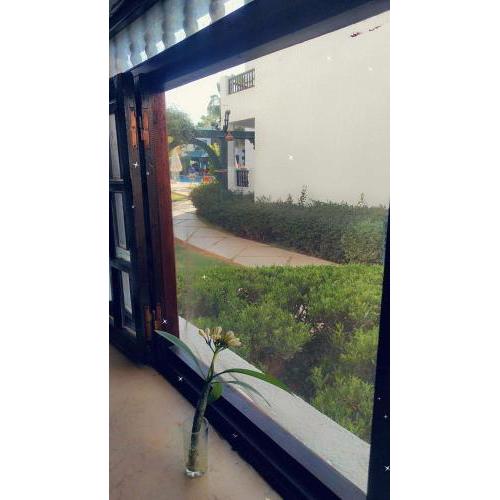 الهضبه شارع البحر
