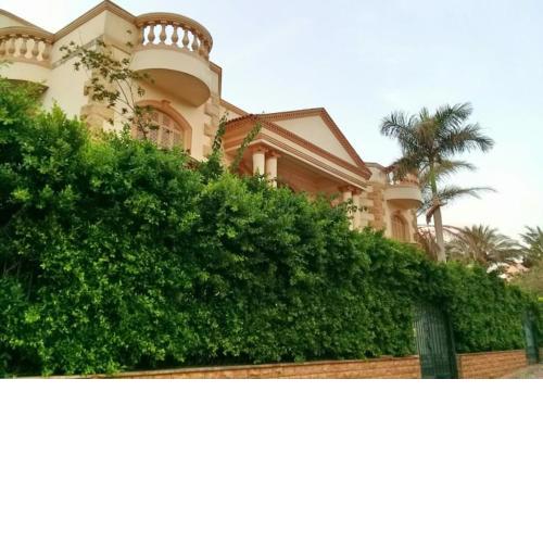ڤيلا حاتم طالب سلهب