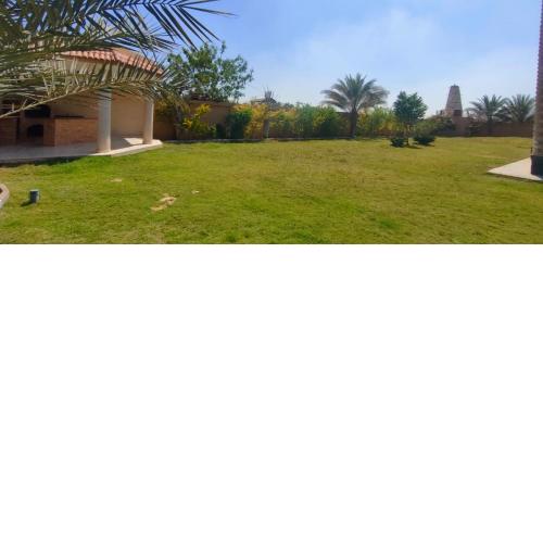 ٦اكتوبر