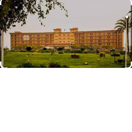 نزل الشباب