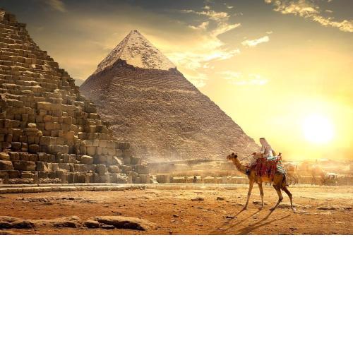 شقق فرساي الفندقيه