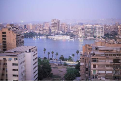 شقه الفورسيزون