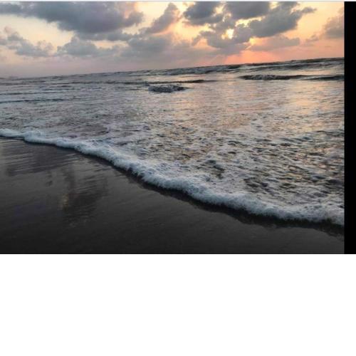 شقق فندقية فاخرة برأس البر