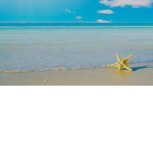 شقه لك ب الكامل