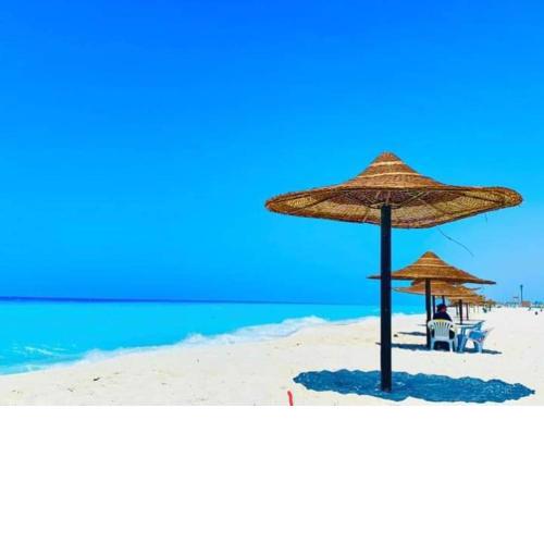 عروض سيزون الصيف بالساحل الشمالي