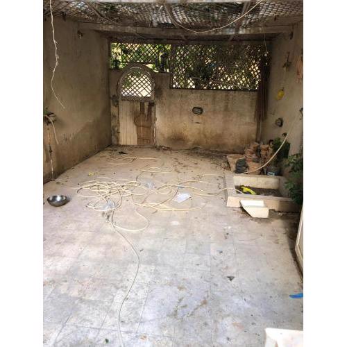 إسكندرية العجمى