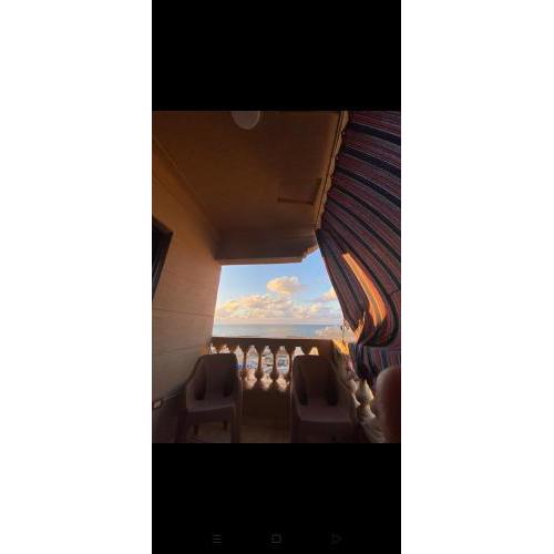 اسكندريه