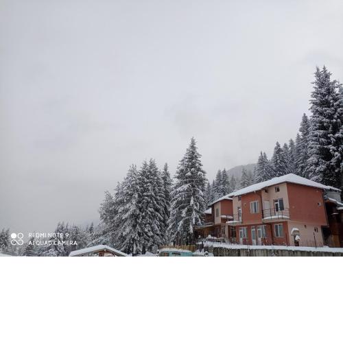 Вили Сара