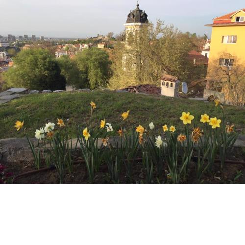 Къща Стария град