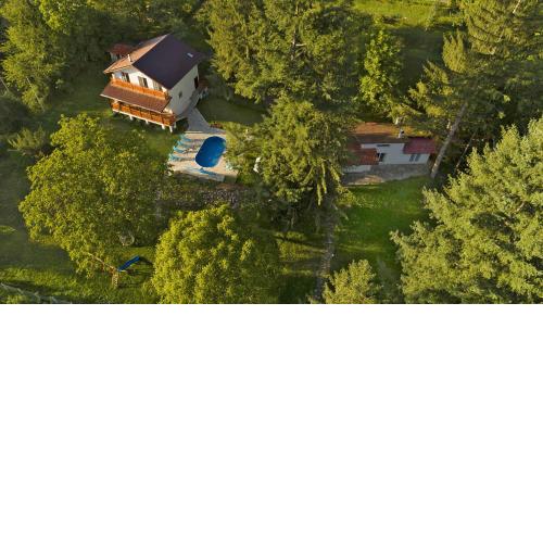 Пе́трови Вили