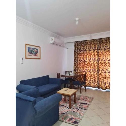 A cozy room in 2 bedrooms apartment with a back yard