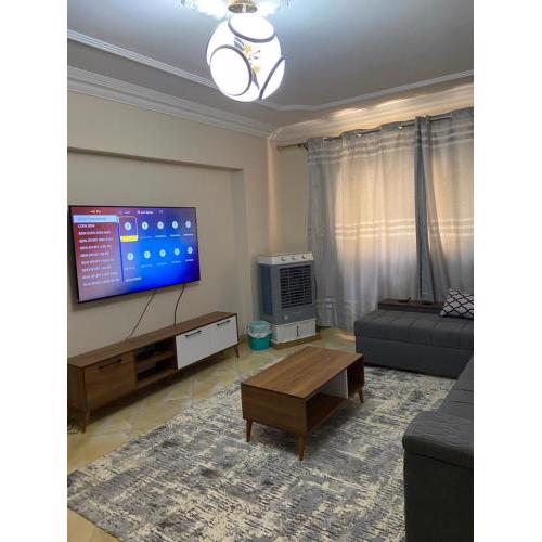 A stunning apartment for rent in nasr city