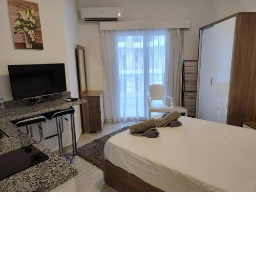A Superb Studio Apartment