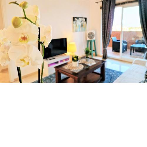 AA Guest - The Diamond Sea Views Eco Apartment