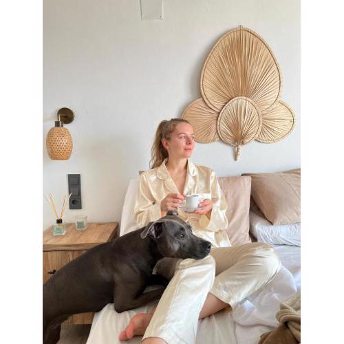 Aden Pet Apartment