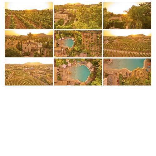 Agroturismo Sa Vinya des Convent