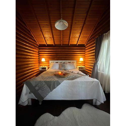Ağva Orman Evleri Forest Lodge