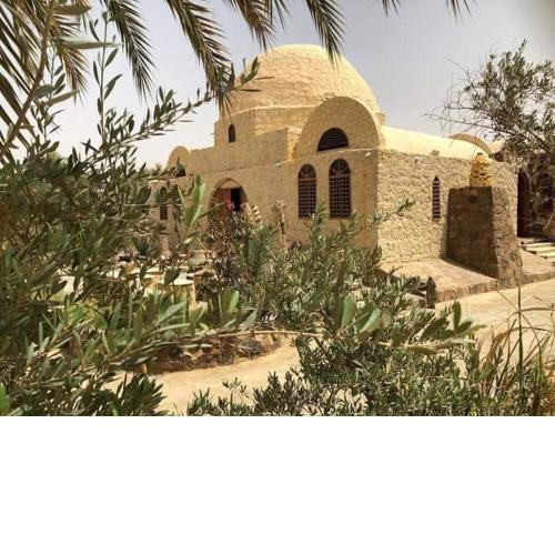 Ahmed Safari Camp