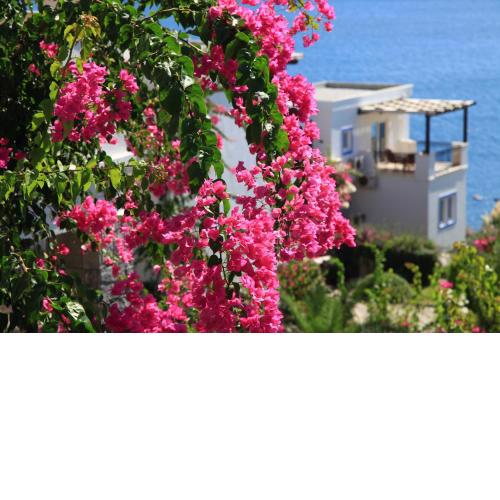 Aktur Residence