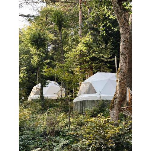 Ala Glamping