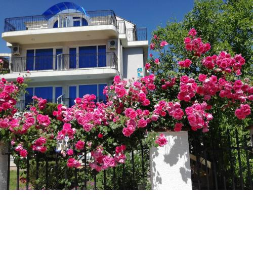 Albatros 2 Family Hotel