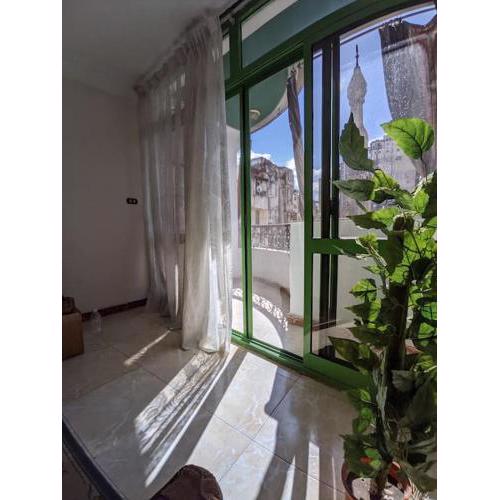 Alexandria Downtown Apartment