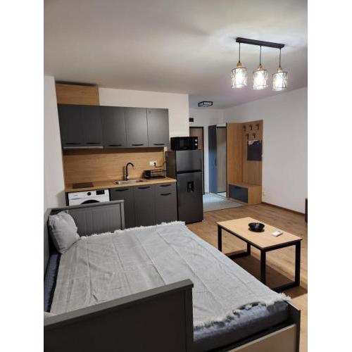 Alissa Student City apart 4