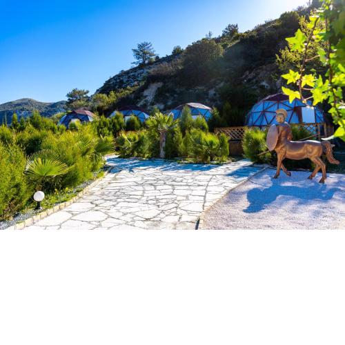 Amazing Cyprus Glamping Domes - Glamping Cyprus