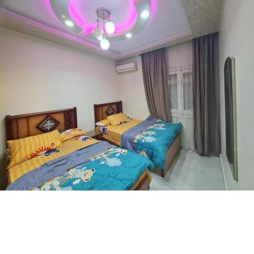 Amazing two bed room apartment