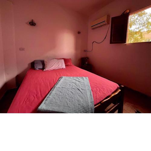 AMFIBIANHouse