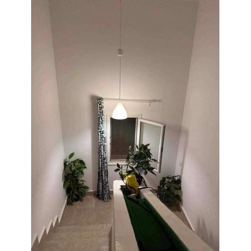 Amwaj summer house for Families