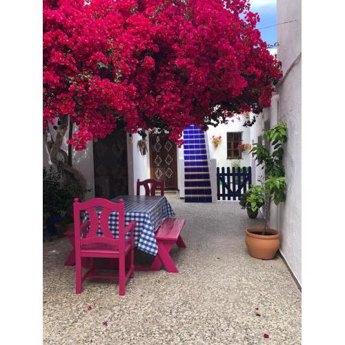 ANDALUZ LIVING - Traditional andalusian house, casa de vecinos